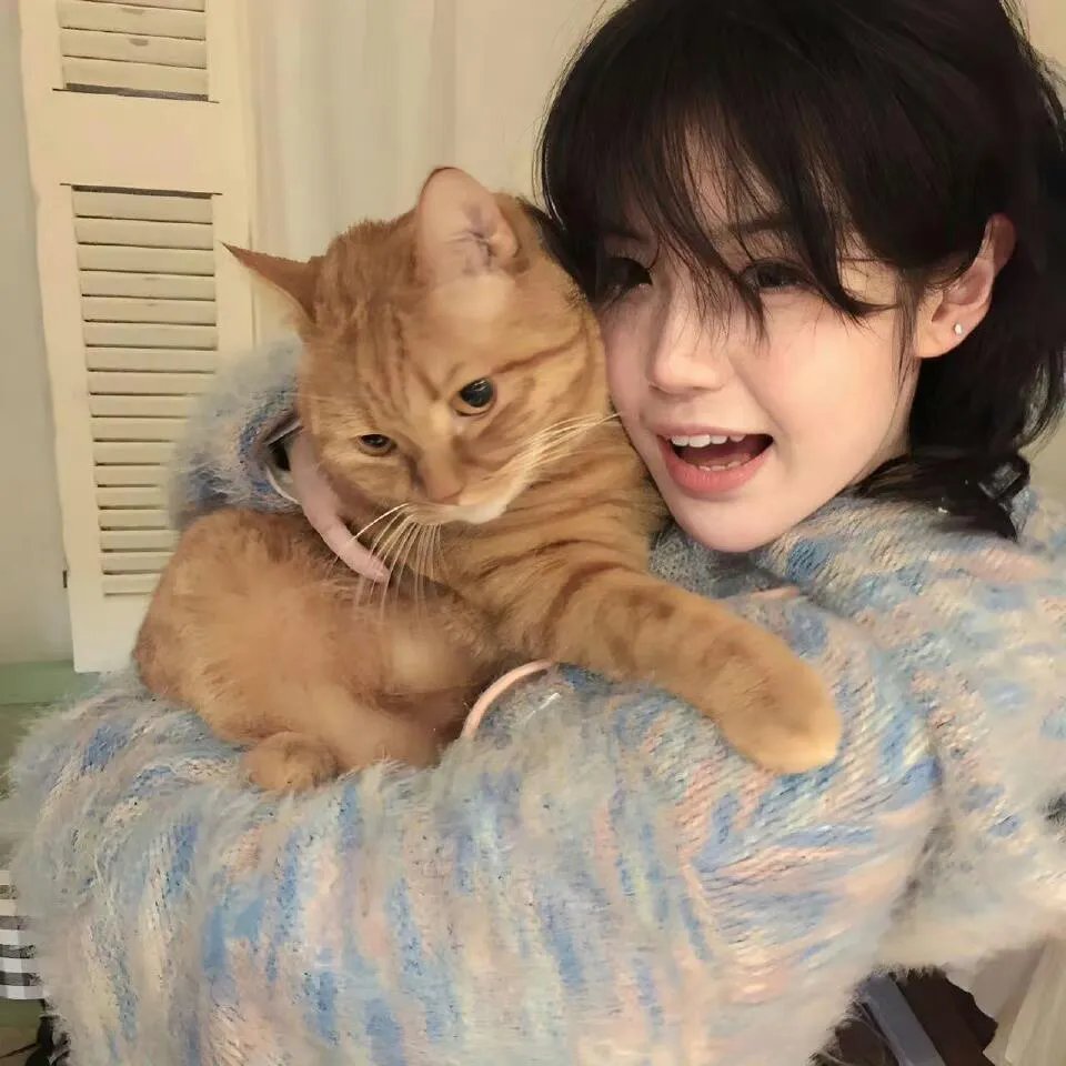 Plage：有隐情的人齐聚的合租屋